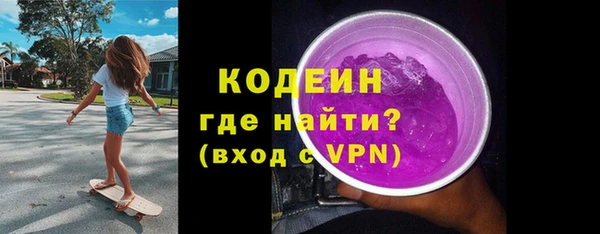 шишки Богородицк
