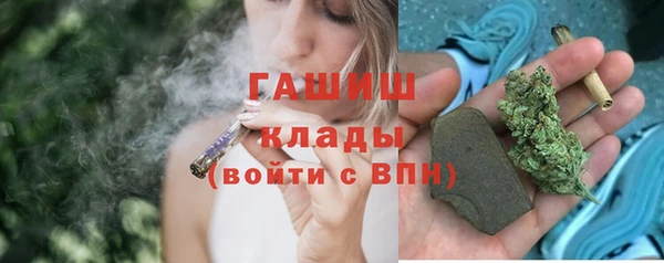 шишки Богородицк