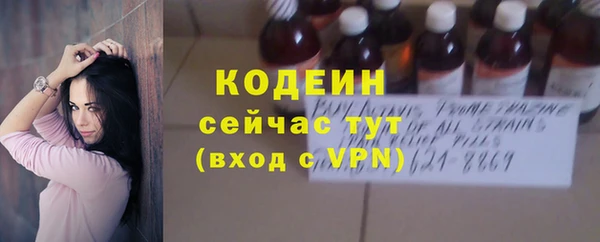 шишки Богородицк