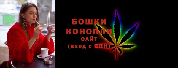 шишки Богородицк