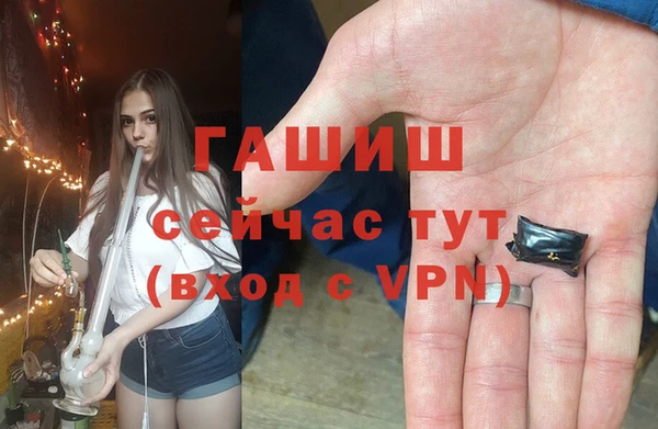 2c-b Бородино