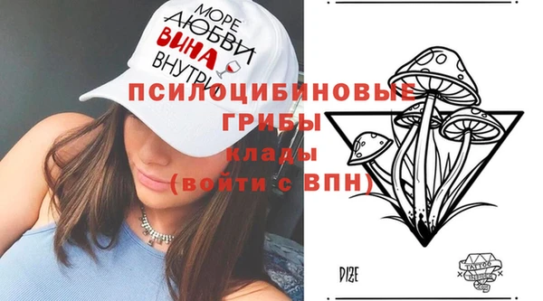 шишки Богородицк
