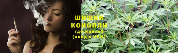 ГАЛЛЮЦИНОГЕННЫЕ ГРИБЫ Струнино